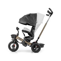 Rowerek Milly Mally Movi gold