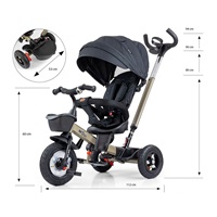 Rowerek Milly Mally Movi gold