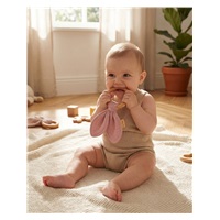 Gryzak dla dzieci New Baby Ears pink