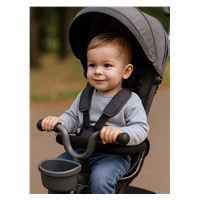 Dziecięcy rowerek trójkołowy Baby Mix 5w1 RELAX 365° szary