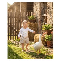 Body dziecięce z nadrukiem New Baby Gąski -  krótki rękaw