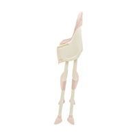 Krzesełko do karmienia Baby Mix Nora dusty pink